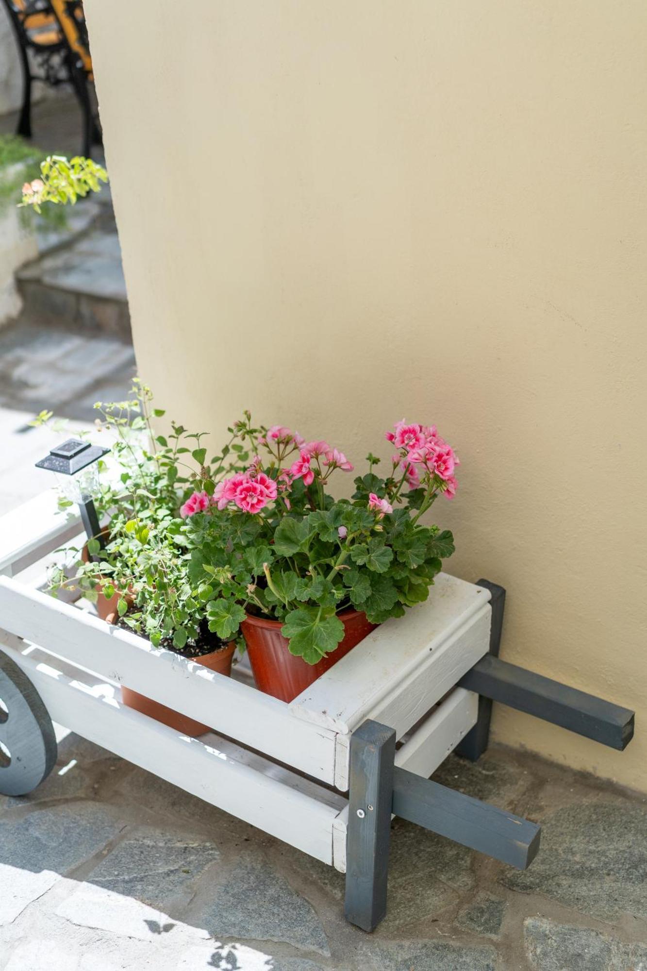 Spacious Home With Yard, Mytilene Lesvos Bagian luar foto