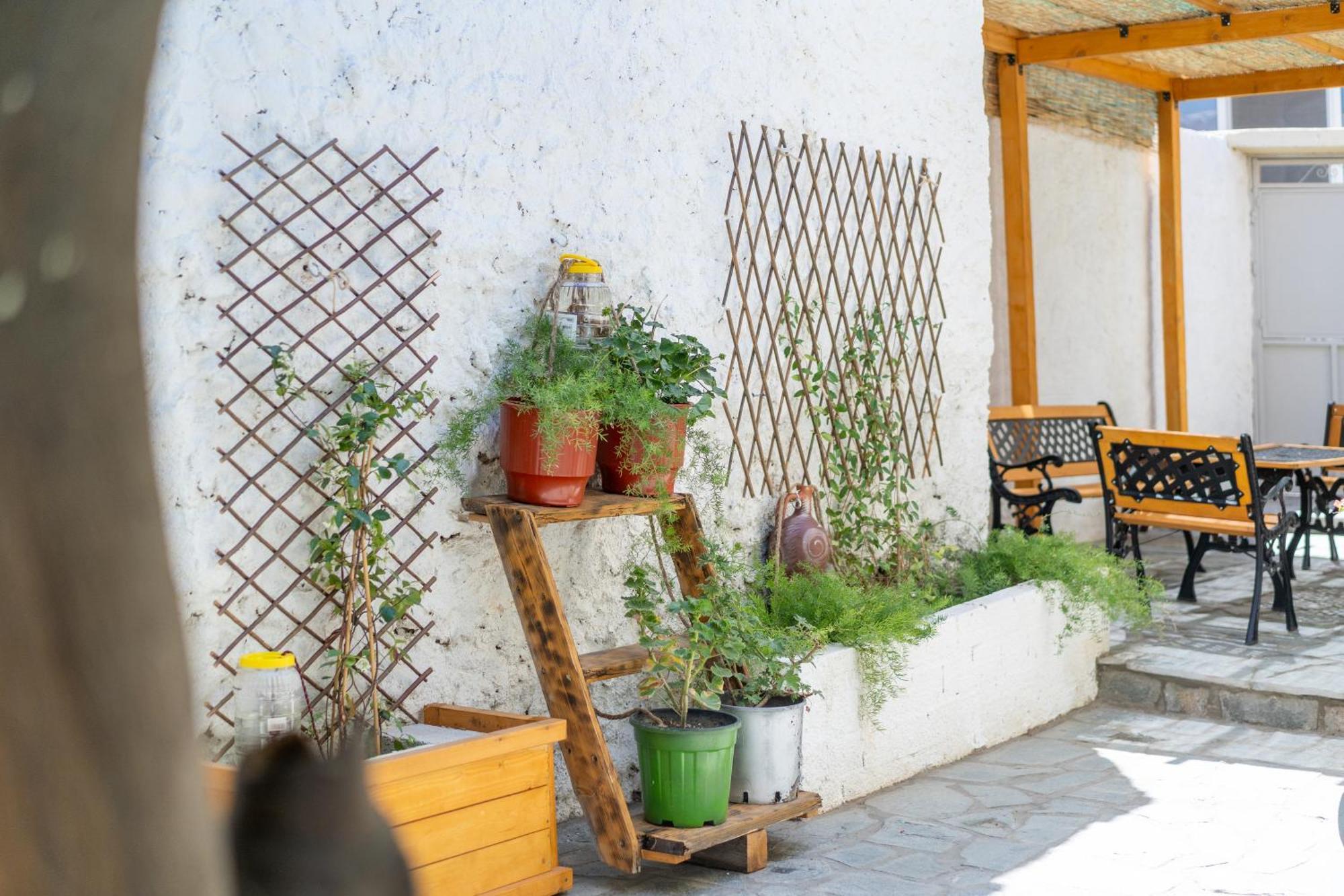 Spacious Home With Yard, Mytilene Lesvos Bagian luar foto